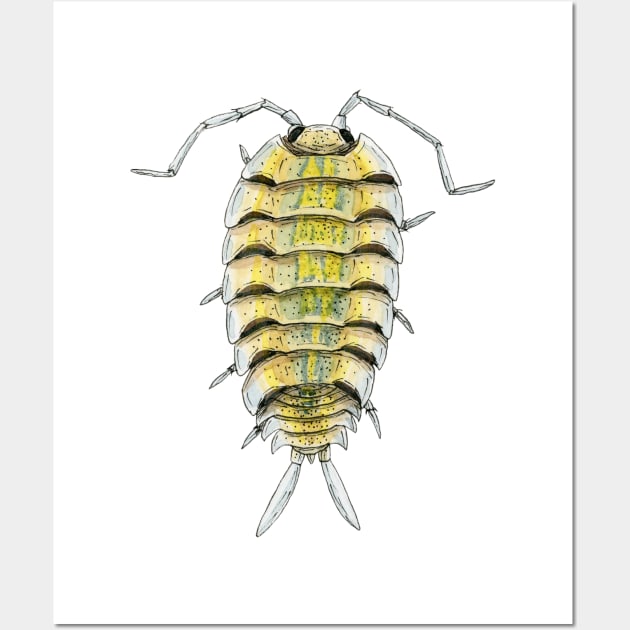 Porcellio bolivari Isopod Wall Art by paintedpansy